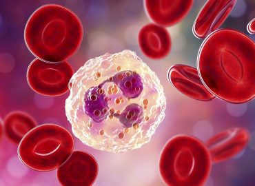 Conferència: La immunitat, un sistema defensiu d’alta complexitat