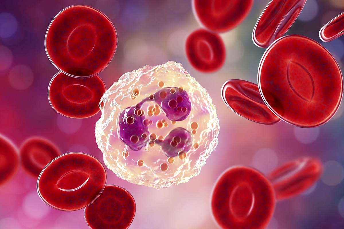 Conferència: La immunitat, un sistema defensiu d’alta complexitat
