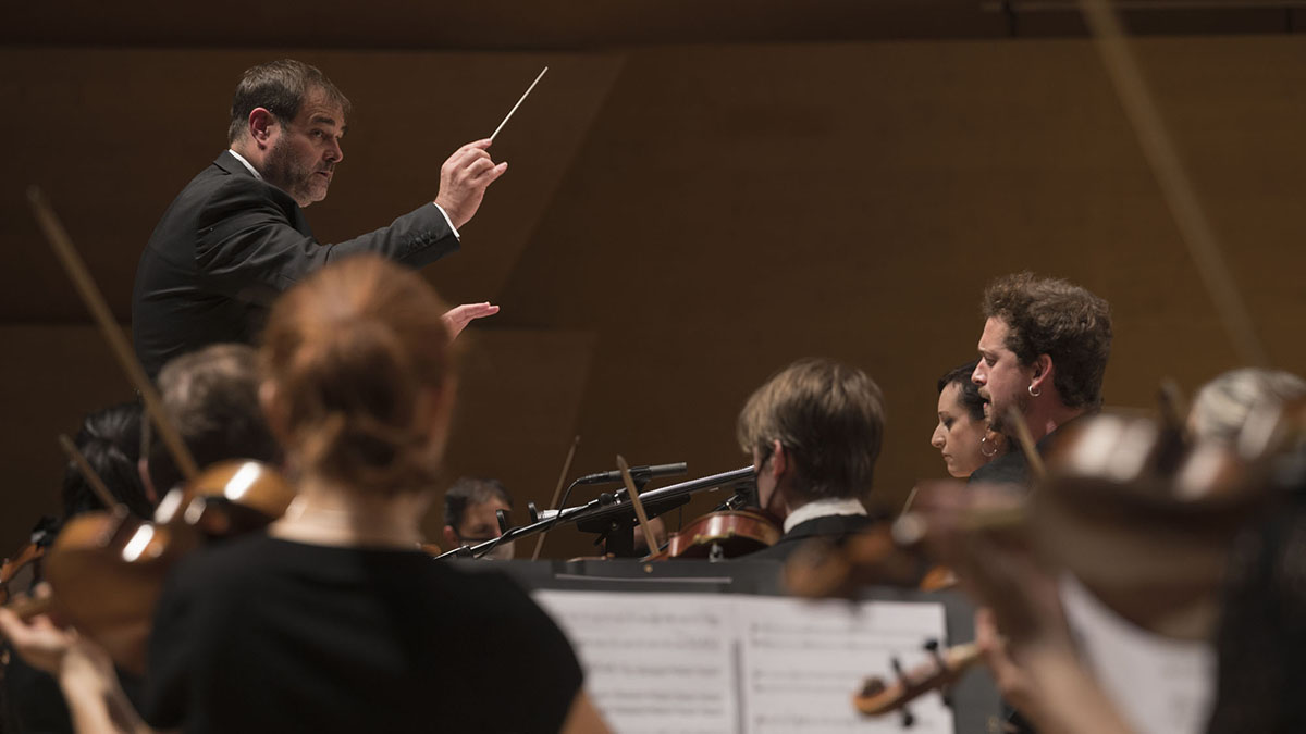 Concert a l'Auditori de Barcelona: El llac dels cignes de Txaikovski